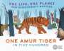 Sarah Ridley: One Life, One Planet: One Amur Tiger in Five Hundred, Buch
