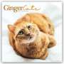 Carousel Calendar: Ginger Cats - Rothaarige Katzen 2024, KAL