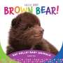 Beverly Rose: Hello Baby Brown Bear!, Buch