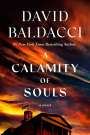 David Baldacci: A Calamity of Souls, Buch