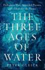 Peter Gleick: The Three Ages of Water, Buch