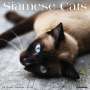 Willow Creek Press: Siamese Cats 2024 12 X 12 Wall Calendar, KAL