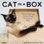Willow Creek Press: Cat in a Box 2024 12 X 12 Wall Calendar, KAL
