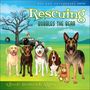 Alfreda Beartrack-Algeo: Rescuing Bubbles the Bear, Buch