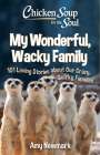 Amy Newmark: Chicken Soup for the Soul: My Wonderful, Wacky Family, Buch