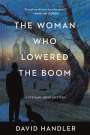 David Handler: The Woman Who Lowered the Boom, Buch