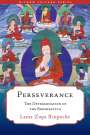 Lama Zopa Rinpoche: Perseverance: The Determination of the Bodhisattva, Buch
