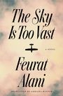 „The Sky Is Too Vast“, „a novel“, Feurat Alani; Flugzeug-Silhouette, pastellfarbiger Himmel.