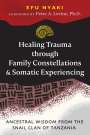 Efu Nyaki: Healing Trauma through Family Constellations and Somatic Experiencing, Buch