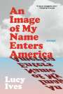 Lucy Ives: An Image of My Name Enters America, Buch