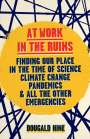 Dougald Hine: At Work in the Ruins, Buch
