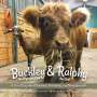 Renee M Rutledge: Buckley the Highland Cow and Ralphy the Goat, Buch