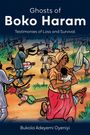 Bukola Adeyemi Oyeniyi: Ghosts of Boko Haram, Buch