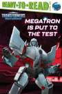 : Megatron Is Put to the Test, Buch