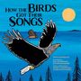 Travis Zimmerman: How the Birds Got Their Songs, Buch