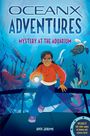 Kate B. Jerome: Mystery at the Aquarium, Buch