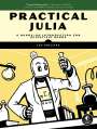 Lee Phillips: Practical Julia, Buch