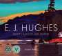 Robert Amos: E. J. Hughes Paints Vancouver Island, Buch