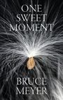 Bruce Meyer: One Sweet Moment: Volume 305, Buch