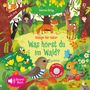 Sam Taplin: Klänge der Natur: Was hörst du im Wald?, Buch