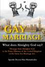 Max Matonhodze: Gay Marriage - What Does Almighty God Say?, Buch