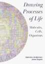 Gemma Anderson-Tempini: Drawing Processes of Life, Buch