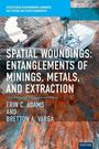 "Spatial Woundings: Entanglements of Minings, Metals, and Extraction" von Erin C. Adams und Bretton A. Varga. Luftbild eines Tagebaus.