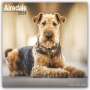 Avonside Publishing: Airedale Terrier 2024 - 16-Monatskalender, KAL