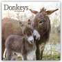Avonside Publishing Ltd: Donkeys - Esel 2024 - 16-Monatskalender, KAL