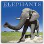 Avonside Publishing Ltd: Elephants - Elefanten 2024 - 16-Monatskalender, KAL