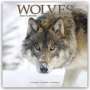 Avonside Publishing Ltd: Wolves - Wölfe 2024 - 16-Monatskalender, KAL