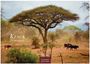 : Kenia/Serengeti 2025 S 24x35 cm, KAL