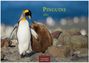 : Pinguine 2025 S 24x35cm, KAL