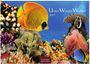 Beschriftung: "Unter Wasser Welten 2027". Lebendige Unterwasserlandschaft mit bunten Fischen und Korallen in einer Illustration.