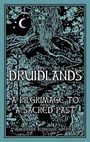 Miranda Aldhouse-Green: Druidlands, Buch