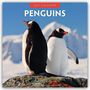 Text: "2027 Calendar PENGUINS". Zwei Pinguine auf einem Felsen, Hintergrund mit Schnee und blauem Himmel.