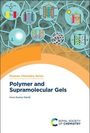 „Polymer Chemistry Series: Polymer and Supramolecular Gels“ von Arun Kumar Nandi, mit abstrakten wissenschaftlichen Diagrammen.