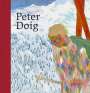 : Peter Doig, Buch