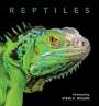 Steve Wilson: Reptiles, Buch
