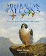 Peter Slater: Australian Falcons, Buch