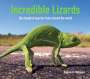 Steve Wilson: Incredible Lizards, Buch