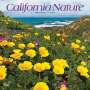 : California Nature 2024 Square, KAL