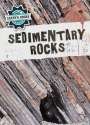 Anna McDougal: Sedimentary Rocks, Buch