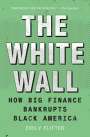 Emily Flitter: The White Wall, Buch