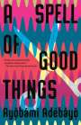 Ayobami Adebayo: A Spell of Good Things, Buch