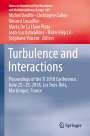 : Turbulence and Interactions, Buch