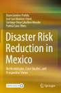 Diana Sánchez-Partida: Disaster Risk Reduction in Mexico, Buch