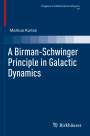 Markus Kunze: A Birman-Schwinger Principle in Galactic Dynamics, Buch