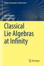 Crystal Hoyt: Classical Lie Algebras at Infinity, Buch