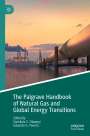 : The Palgrave Handbook of Natural Gas and Global Energy Transitions, Buch